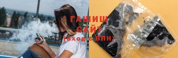 гашик Бородино