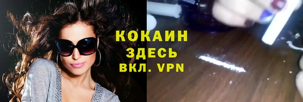 гашик Бородино