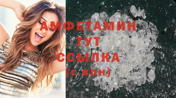 гашик Бородино