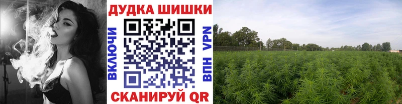 Шишки марихуана THC 21%  наркошоп  Грозный 